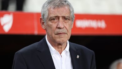 fernando-santos