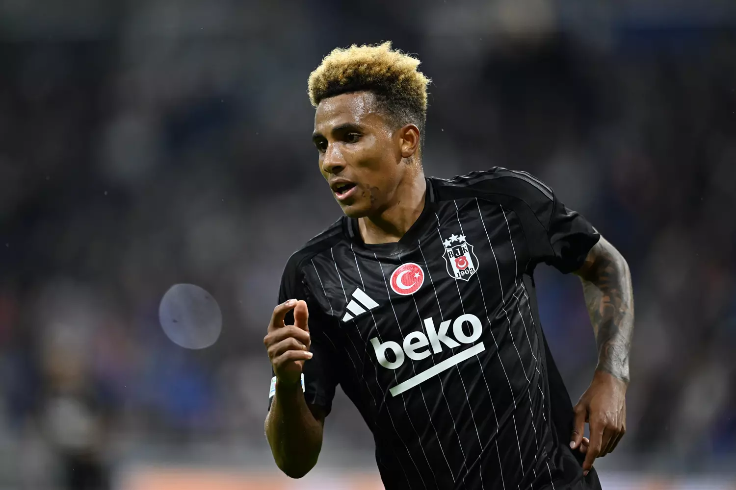 gedson-fernandes