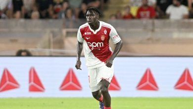 wilfried-singo