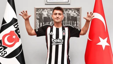 cenig under